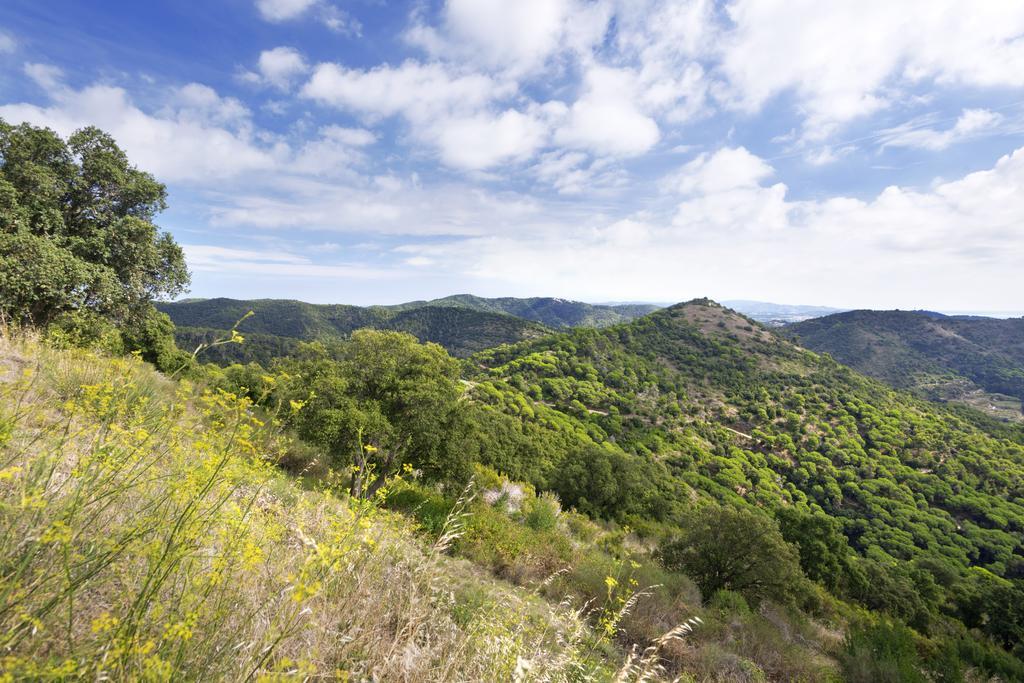 Merce Pineda de Mar Dış mekan fotoğraf